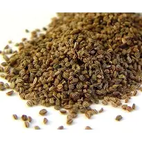 Egyptian Fenugreek